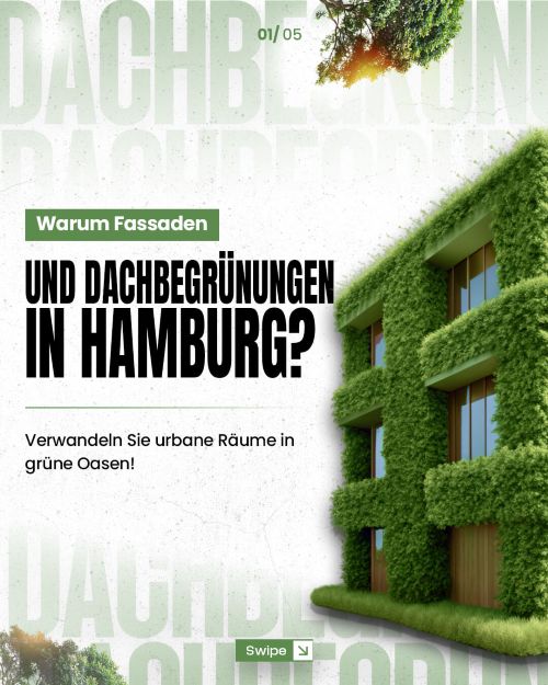 Share2Create Fassadenbegrünung 1