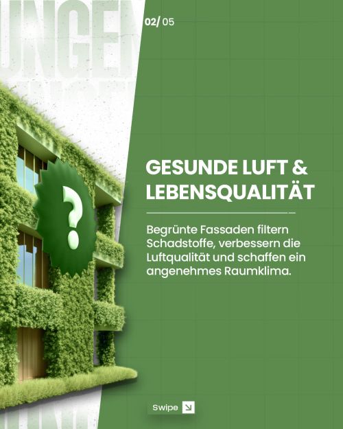 Share2Create Fassadenbegrünung 2