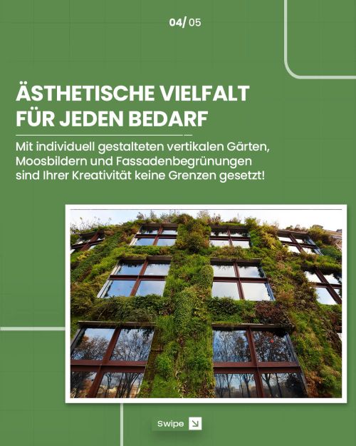 Share2Create Fassadenbegrünung 4